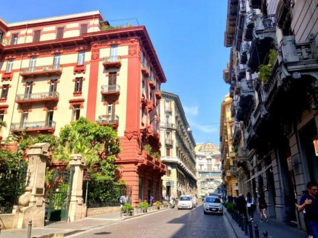 Venustaschiaia Naples